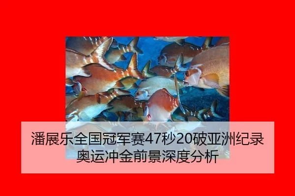 pan-zhan-le-quan-guo-guan-jun-sai-miao-po-ya-zhou-ji-lu-ao-yun-chong-jin-qian-jing-shen-du-fen-xi-2-344.jpg
