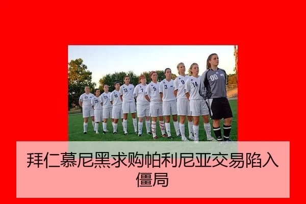 bai-ren-mu-ni-hei-qiu-gou-pa-li-ni-ya-jiao-yi-xian-ru-jiang-ju-2-718.jpg